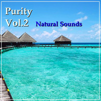 Thumbnail for the D.R. - Purity Vol.2 link, provided by host site