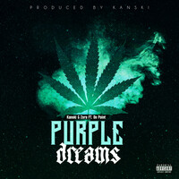 Thumbnail for the Kanski - Purple Dreams link, provided by host site
