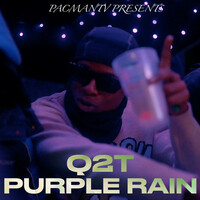 Thumbnail for the Q2T - Purple Rain link, provided by host site