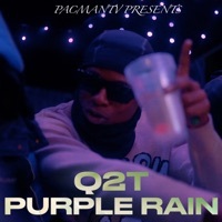 Thumbnail for the Q2T - Purple Rain link, provided by host site