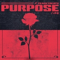 Image of PeaceTreaty linking to their artist page due to link from them being at the top of the main table on this page