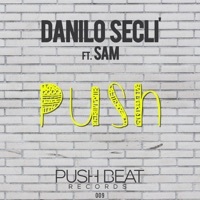 Thumbnail for the Danilo Seclì - Push [Extended Version] link, provided by host site