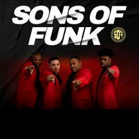 Thumbnail for the Sons Of Funk - Push My Head Down Girl link, provided by host site