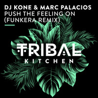 Thumbnail for the Dj Kone & Marc Palacios - Push the Feeling On (Funkera Remix) link, provided by host site