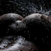 Thumbnail for the Sons Of Funk - Pushing Inside You 3000 link, provided by host site