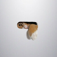 Thumbnail for the Libby Offord - Puss Puss, Shove Shove link, provided by host site