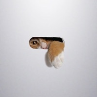 Thumbnail for the Libby Offord - Puss Puss, Shove Shove link, provided by host site