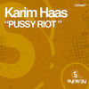 Thumbnail for the Karim Haas - Pussy Riot link, provided by host site