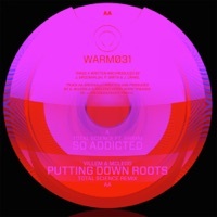 Thumbnail for the Villem - Putting Down Roots (Total Science Remix) link, provided by host site