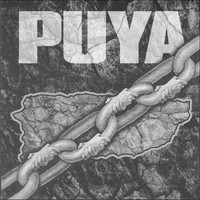 Thumbnail for the Puya - Puya link, provided by host site