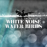 Image of Ontspanning Sound linking to their artist page due to link from them being at the top of the main table on this page