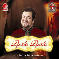 Thumbnail for the Nitin Mukesh - Pyala Pyala link, provided by host site