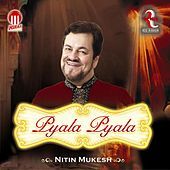 Thumbnail for the Nitin Mukesh - Pyala Pyala link, provided by host site