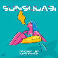Thumbnail for the SunSquabi - Pygmy Up (Cloudchord Remix) link, provided by host site