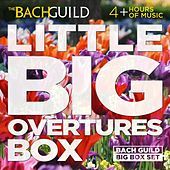 Thumbnail for the Vienna State Opera Orchestra - Pyotr Ilyich Tchaikovsky: Nutcracker Overture link, provided by host site
