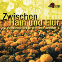 Thumbnail for the Djansug Kakhidze - Pyotr Ilyich Tchaikovsky: Symphony No.6 In B Minor, Pathétique, Op. 74: II. Allegro Con Grazia link, provided by host site