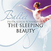 Thumbnail for the St. Petersburg Radio & TV Symphony Orchestra - Pyotr Ilyich Tchaikovsky (The Sleeping Beauty) link, provided by host site