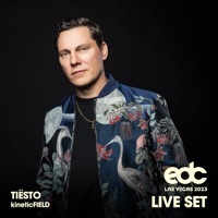 Thumbnail for the Frank Ocean - Pyramids (Tiësto Remix) [Mixed] link, provided by host site