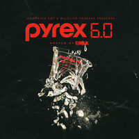 Thumbnail for the Pyrex - Pyrex 6.0 link, provided by host site
