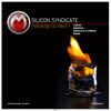 Thumbnail for the Silicon Syndicate - Pyrokinetic (Remixes), Pt. 1 link, provided by host site