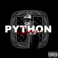 Thumbnail for the Flux - PYTHON SQUEEZE link, provided by host site