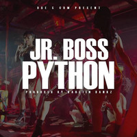 Thumbnail for the J.R. Boss - Python link, provided by host site