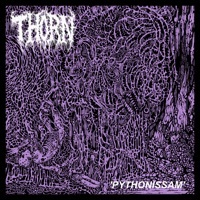 Thumbnail for the Thorn - Pythonissam link, provided by host site