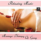 Thumbnail for the Fly Project - Qi Gong link, provided by host site