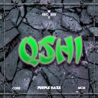 Thumbnail for the WOS - Qshi link, provided by host site