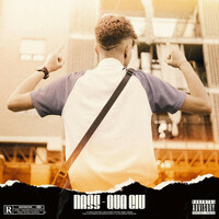 Thumbnail for the Nass - Qua giù link, provided by host site