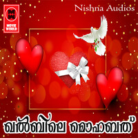 Thumbnail for the Sathyan - Qualbile Muhabhath link, provided by host site