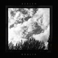 Thumbnail for the Azaleh - Qualia link, provided by host site