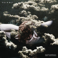 Thumbnail for the Crywolf - Quantum Immortality (Ferry Corsten Remix) link, provided by host site