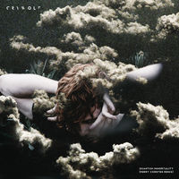 Thumbnail for the Crywolf - Quantum Immortality (Ferry Corsten Remix) link, provided by host site