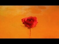 Thumbnail for the Moses Sumney - Quarrel (Edit) link, provided by host site