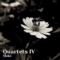 Thumbnail for the Mako - Quartets IV link, provided by host site