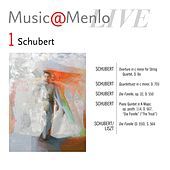 Thumbnail for the Escher String Quartet - Quartettsatz in C Minor, D. 703 link, provided by host site