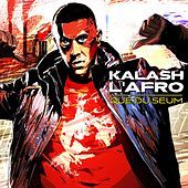 Thumbnail for the Kalash l'Afro - Que du seum link, provided by host site