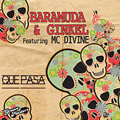 Thumbnail for the Ginkel - Que Pasa link, provided by host site
