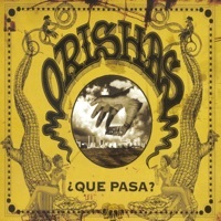 Thumbnail for the Orishas - Que Pasa link, provided by host site