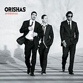 Thumbnail for the Orishas - Qué Pasa? (Red Mix) link, provided by host site