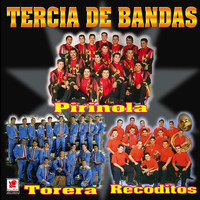 Thumbnail for the Banda Sinaloense Los Recoditos - Que Te Falta Mujer link, provided by host site