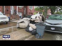 Thumbnail for the Bayside - Queens sees over 6 inches of rain link, provided by host site