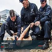 Image of Mitaric linking to their artist page due to link from them being at the top of the main table on this page