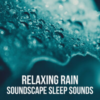 Image of Deep Sleep Rain Sounds linking to their artist page due to link from them being at the top of the main table on this page