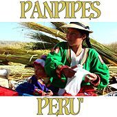 Thumbnail for the Fly Project - Quenchua Song link, provided by host site