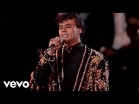Thumbnail for the Juan Gabriel - Querida, Contigo Aprendi, Bonita, La Diferencia, Querida, Que Te Pasa, Toda La Vida, Mu... link, provided by host site