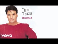 Thumbnail for the Juan Gabriel - Querida (Cover Audio) link, provided by host site