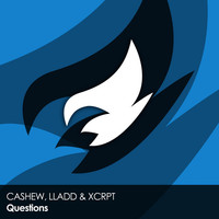 Thumbnail for the Cashew - Questions link, provided by host site