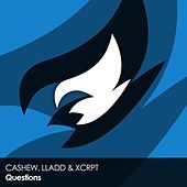 Thumbnail for the Cashew - Questions link, provided by host site